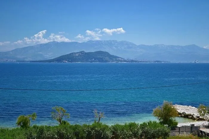 Capitano * Слатине